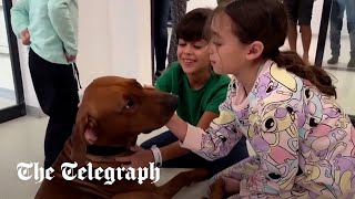 video: Heartwarming moment kidnapped Israeli children are reunited with their dog