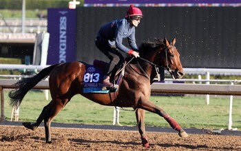 River Tiber gallops in a morning workout in California