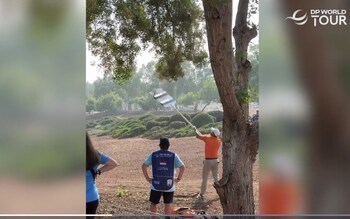Joost Luiten tries to retrieve his club/ PGA Tour golfer loses three clubs in a tree after throwing them in frustration